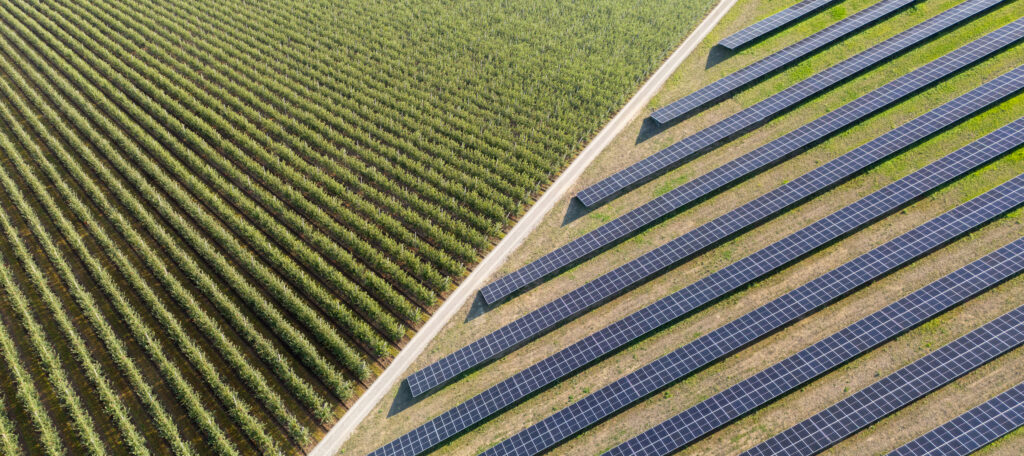 California’s Next Frontier: How the Central Valley Can Lead the State’s Economic Future