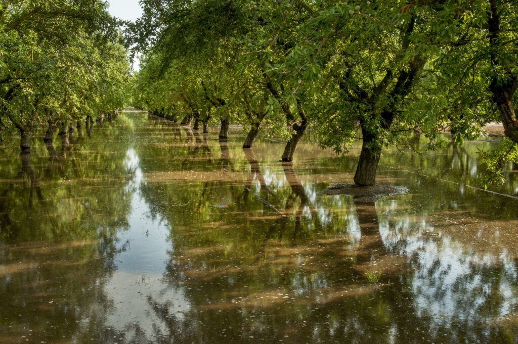 Water Today: Who Controls It and How Decisions Are Made